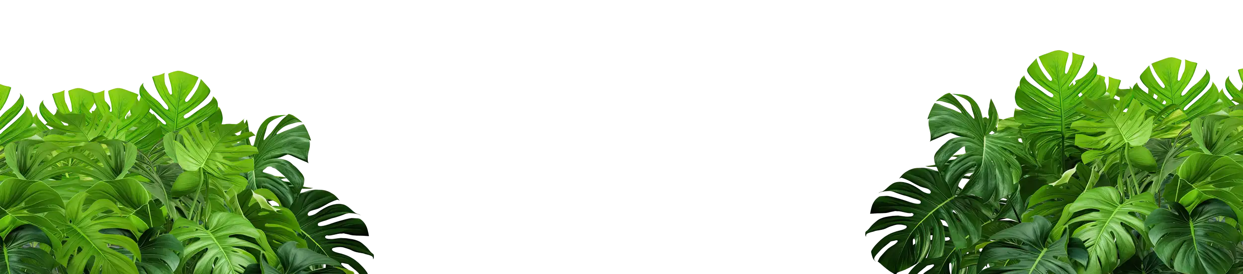 Premier plan